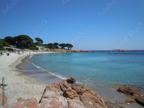 Plage De Palombaggia En Corse Buy This Stock Photo And