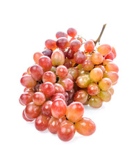 Wall Mural - red grapes