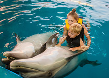 Mum With Kid Floats With Dolphins In Pool