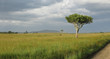 © Gianfranco Bella - Tanzania parco nazionale