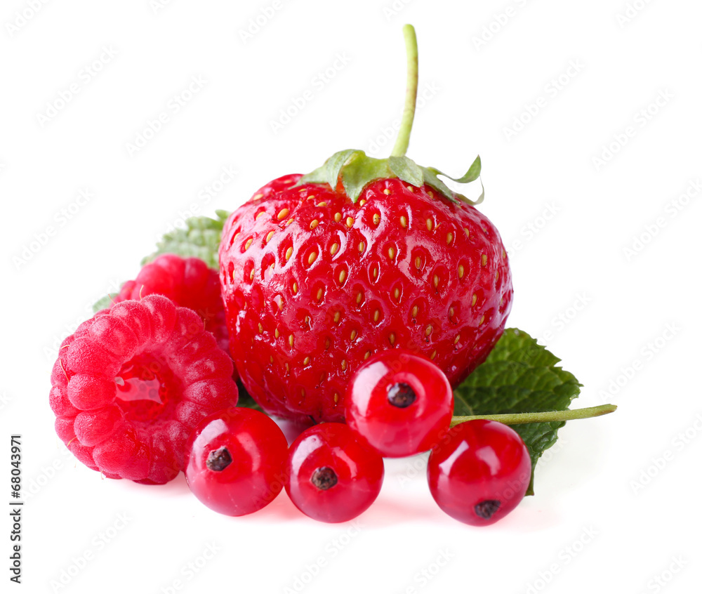 Forest berries isolated on white