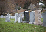 Fototapeta Sawanna - Cemetery Gravestones