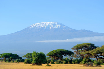 Canvas Print - Snow on top of Mount Kilimanjaro