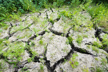Large Cracks In Parched Earth