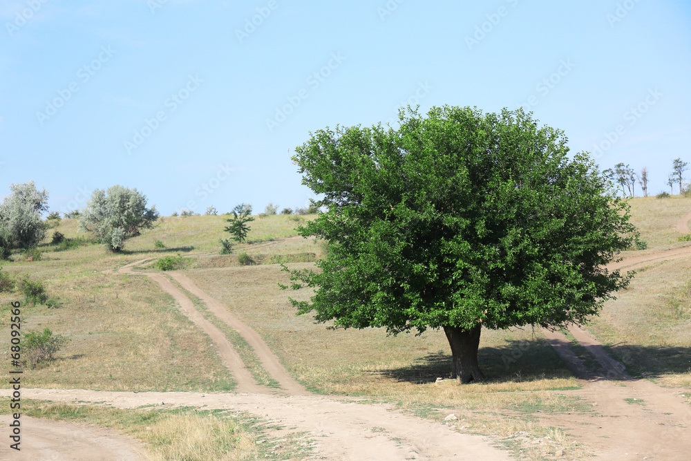 Ground road in field