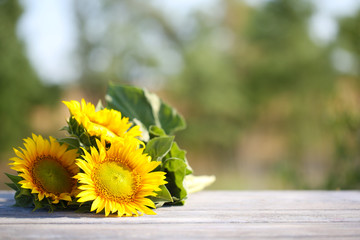 Wall Mural - Beautiful sunflowers on table on bright background