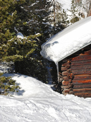 Poster - snow-covered wood house and fir tree in Dolomites