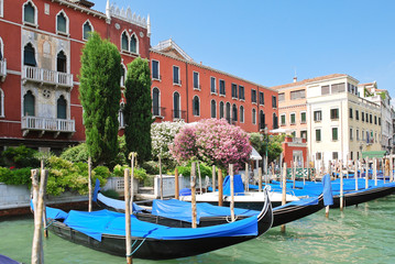 Wall Mural - parking of gondolas near Ponte di Rialto in Venice