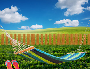 Wall Mural - hammock in backyard