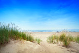 Fototapeta Morze - Calm beach with dunes and green grass. Tranquil ocean