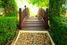 Wood Bridge And Pathway In Garden Design With Sun Ray