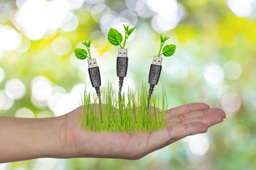 hand holding a usb cable with a small plant