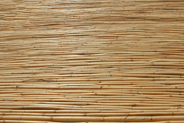 Cane texture