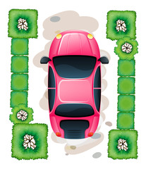 Wall Mural - A topview of the parked pink car