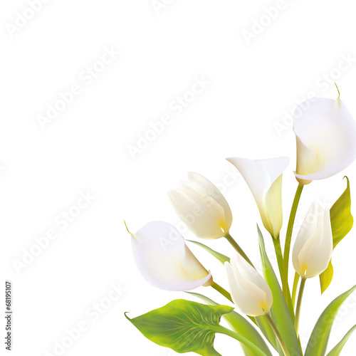 Fotomural Spring flowers backround with text lettering.