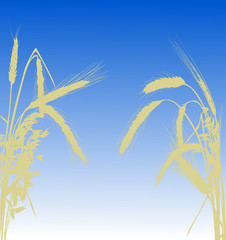 Poster - wheat half frame silhouette on blue background