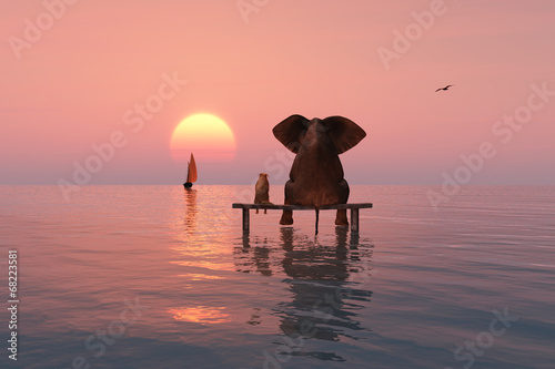 Obraz w ramie elephant and dog sitting in the middle of the sea