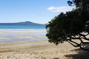 Canvas Print - New Zealand