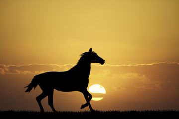 Poster - galloping horse at sunset