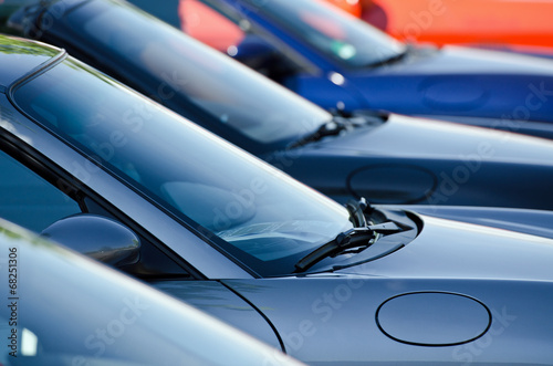 Sportwagen Lerretsbilde