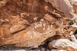 Ute Petroglyphs Near Wolfe Ranch in Arches National Park