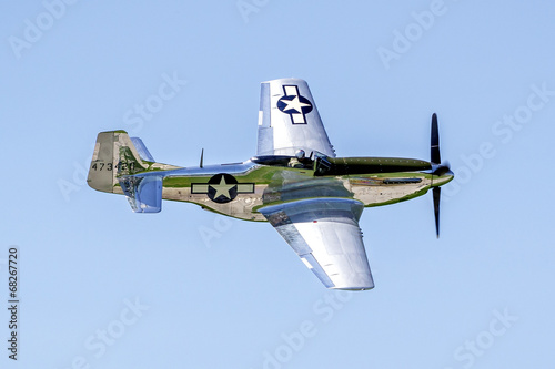 Fototapeta  P51 Mustang