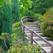 Cozy Park With Stairs And Shrubs
