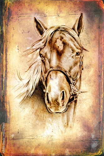 Naklejka dekoracyjna freehand horse head drawing art