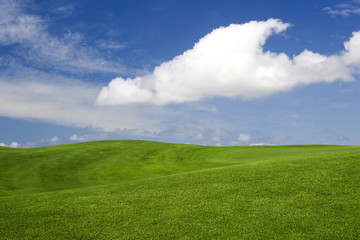 Wall Mural - Beautiful green landscape