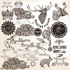 Wall Mural - Set of vector decorative hunting and floral elements in vintage