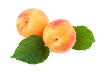 Canvas Print - apricot fruit over white