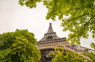 Fototapete - La Tour Eiffel in Paris surrounded by trees in summer