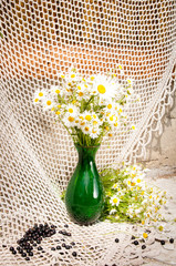 Wall Mural - chamomiles in a green vase still life