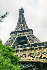 Sticker - Paris. Eiffel Tower with summer trees on a cloudy sky