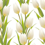 Fototapeta Tulipany - Tulip spring flowers seamless pattern.