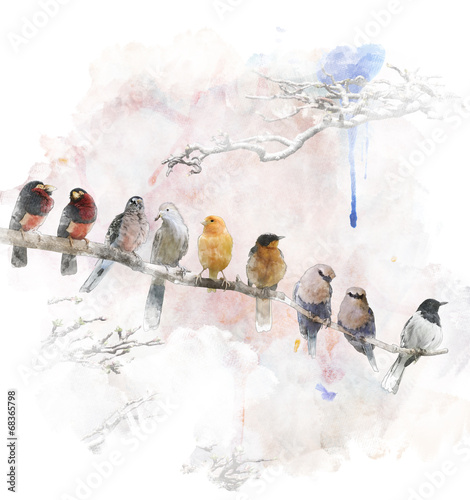 Naklejka ścienna Watercolor Image Of Perching Birds