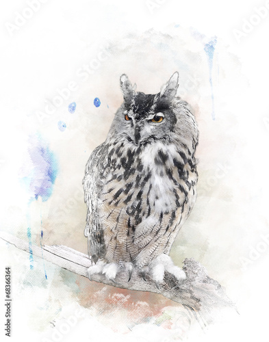 Fototapeta na wymiar Watercolor Image Of Owl