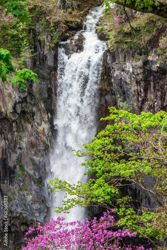 Fototapeta na wymiar Waterfall Stream with Pink Flowers