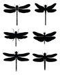 Black silhouettes of dragonflies, vector