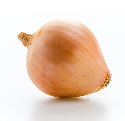 Canvas Print - Onion isolated on white