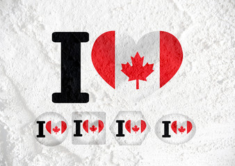 Poster - flag of Canada themes idea design on wall texture background