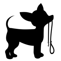 Wall Mural - Chihuahua Leash