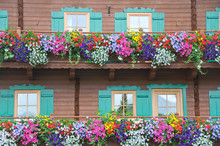 Wooden Balcony Decorated With Different Colorful Flowers