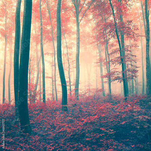 Naklejka na szybę Red vintage forest