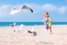 Little Girl Playing With Seagulls