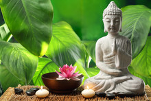 Buddha In Meditation