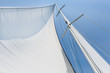 canvas print picture - Big white sail hoisted