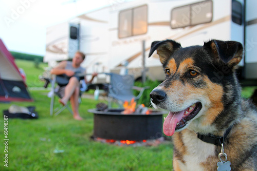 Fotografie, Obraz Dog at Campground in Front of Man Playing Guitar