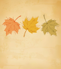 Fototapete - Retro autumn background with colorful leaves. Vector.