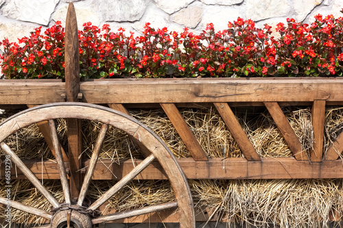 Naklejka ścienna Ox Cart with Flowers